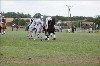 UKPA  NC Sat_1428